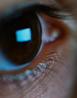 eye