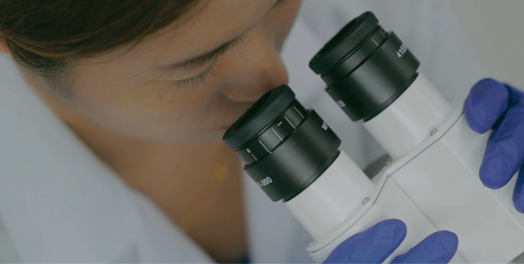 Young Scientists